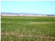* 253.14ha Mordinyabe 626acs, Blyth SA 5462