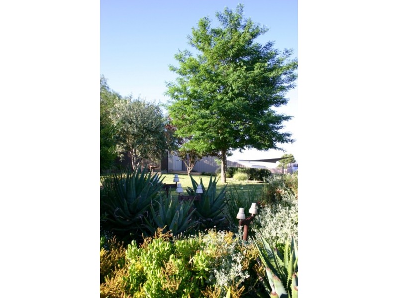 1 Bright Street, Clare SA 5453