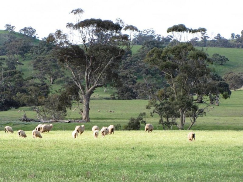 * 924.11ha Spring Gully 2,284acs, Kybunga SA 5453