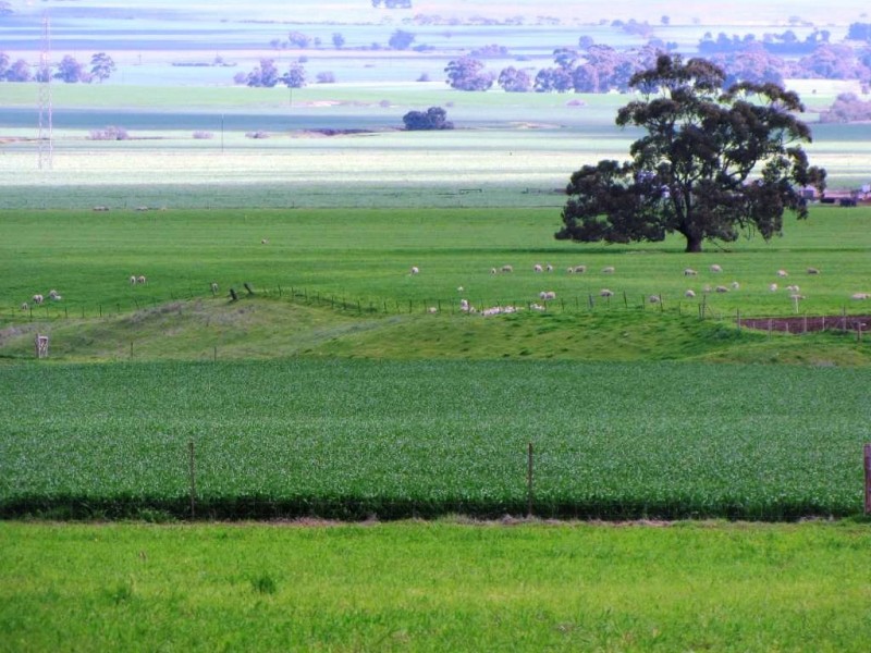 * 924.11ha Spring Gully 2,284acs, Kybunga SA 5453