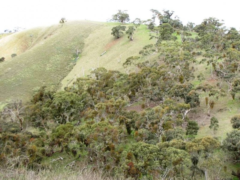 * 924.11ha Spring Gully 2,284acs, Kybunga SA 5453