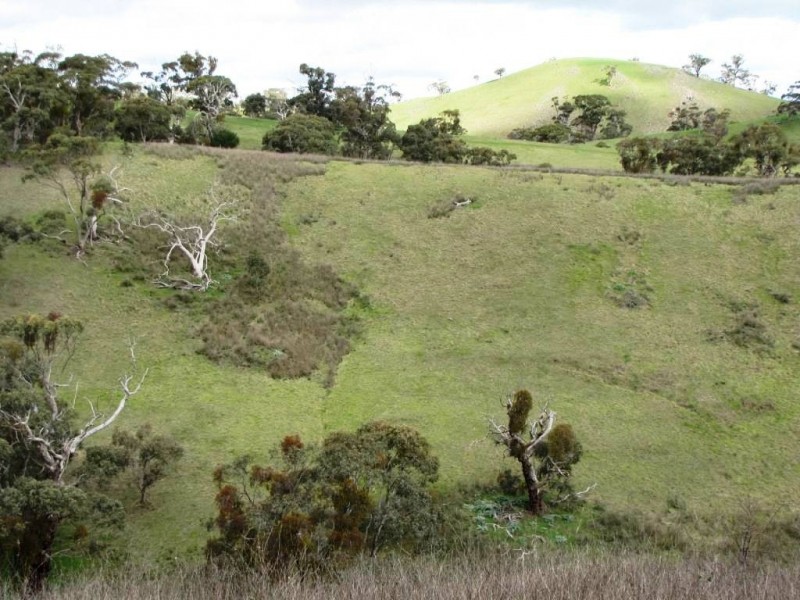 * 924.11ha Spring Gully 2,284acs, Kybunga SA 5453