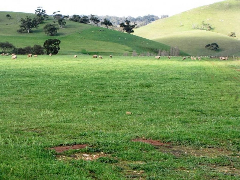 * 924.11ha Spring Gully 2,284acs, Kybunga SA 5453