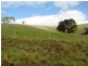 * 924.11ha Spring Gully 2,284acs, Kybunga SA 5453