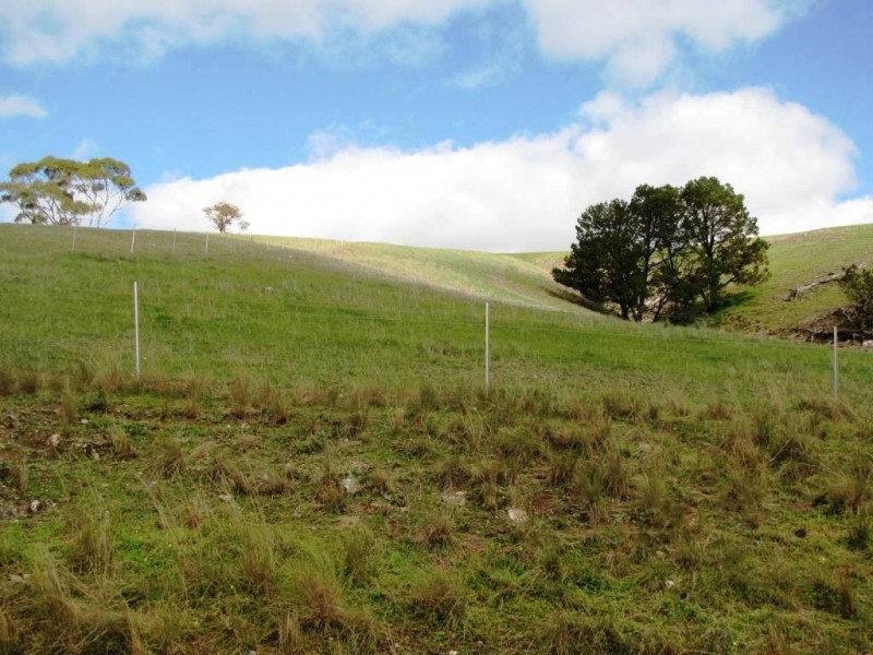 * 924.11ha Spring Gully 2,284acs, Kybunga SA 5453