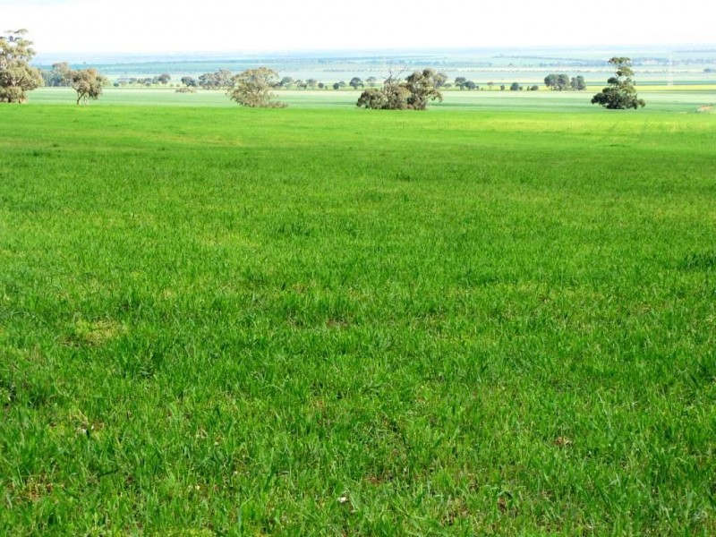 * 924.11ha Spring Gully 2,284acs, Kybunga SA 5453