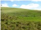 * 924.11ha Spring Gully 2,284acs, Kybunga SA 5453