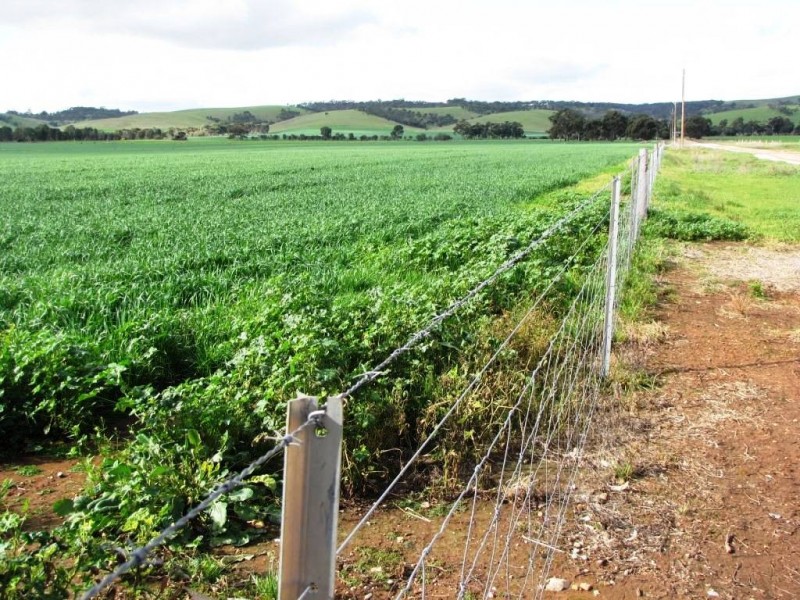 * 924.11ha Spring Gully 2,284acs, Kybunga SA 5453