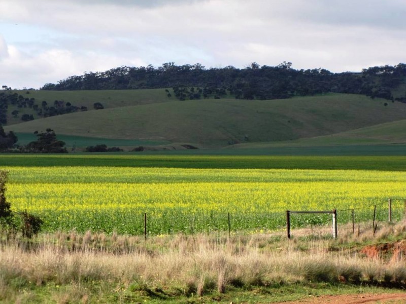 * 924.11ha Spring Gully 2,284acs, Kybunga SA 5453