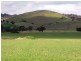 * 924.11ha Spring Gully 2,284acs, Kybunga SA 5453