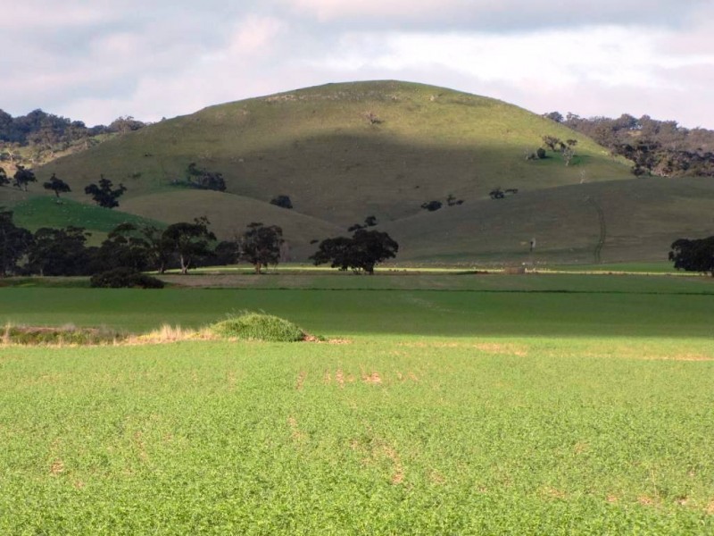 * 924.11ha Spring Gully 2,284acs, Kybunga SA 5453