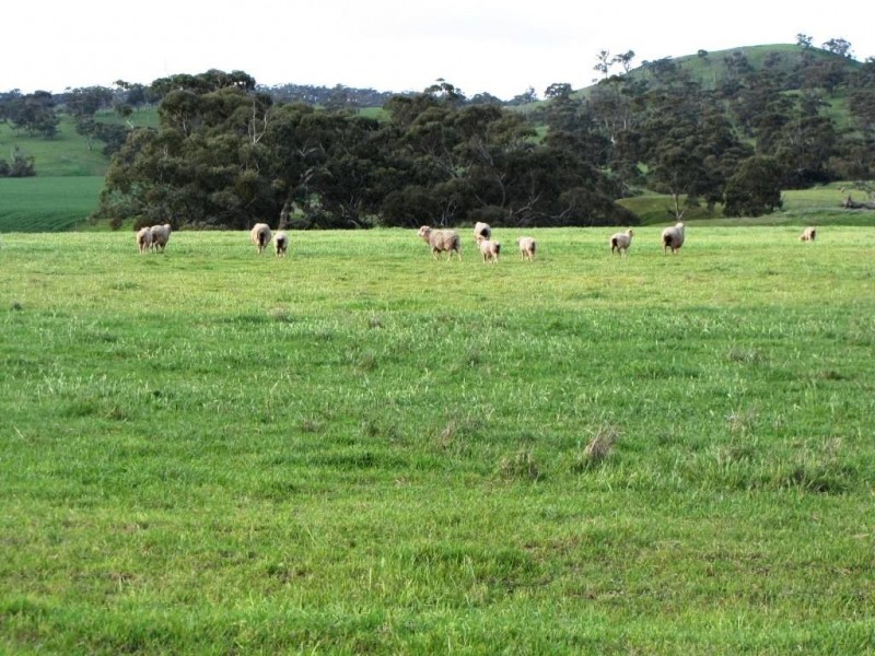 * 924.11ha Spring Gully 2,284acs, Kybunga SA 5453