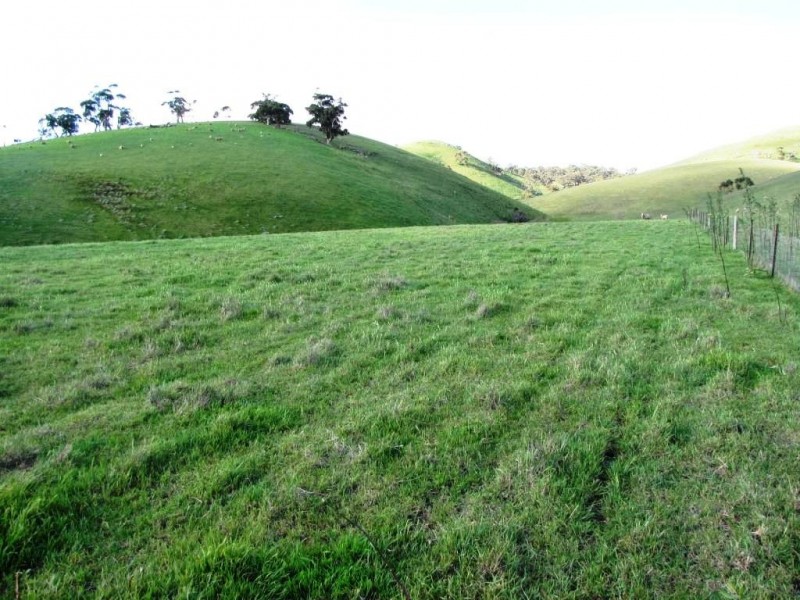 * 924.11ha Spring Gully 2,284acs, Kybunga SA 5453