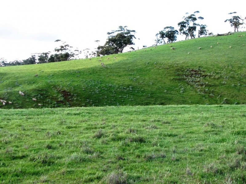 * 924.11ha Spring Gully 2,284acs, Kybunga SA 5453