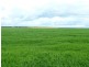 * 269.5ha Coffey’s 666acs, Koolunga SA 5464