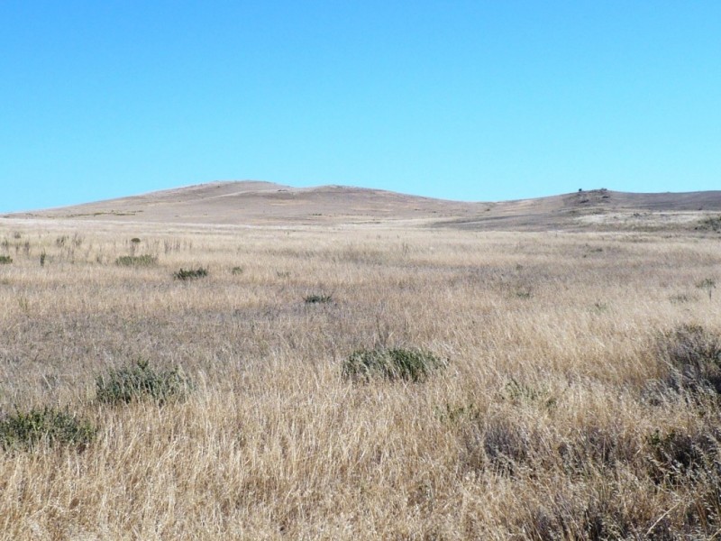 * 267.9ha Charlies 662acs, Mount Bryan SA 5418