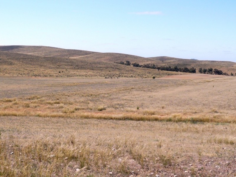 * 267.9ha Charlies 662acs, Mount Bryan SA 5418