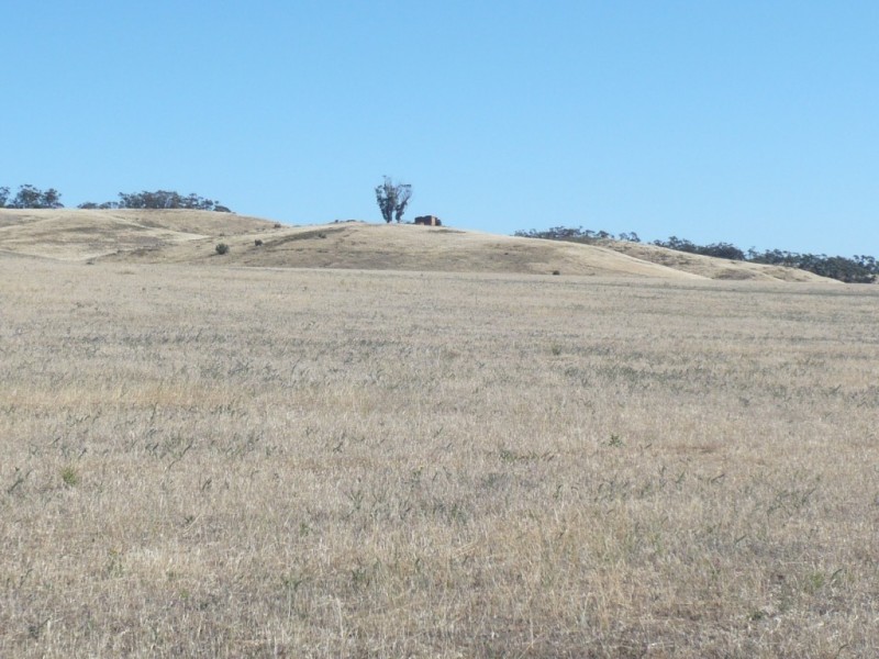 * 267.9ha Charlies 662acs, Mount Bryan SA 5418