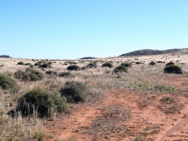 * 267.9ha Charlies 662acs, Mount Bryan SA 5418