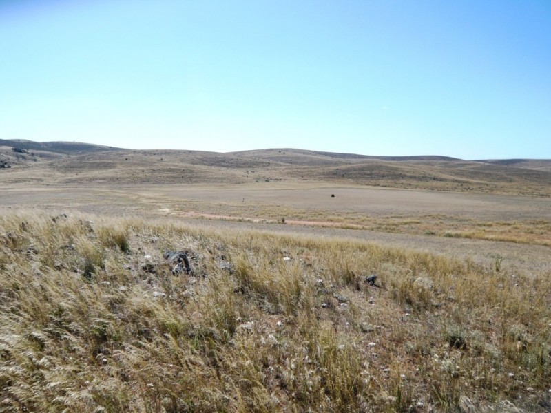 * 267.9ha Charlies 662acs, Mount Bryan SA 5418