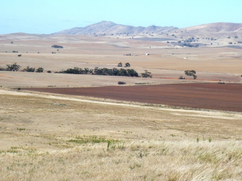 * 267.9ha Charlies 662acs, Mount Bryan SA 5418