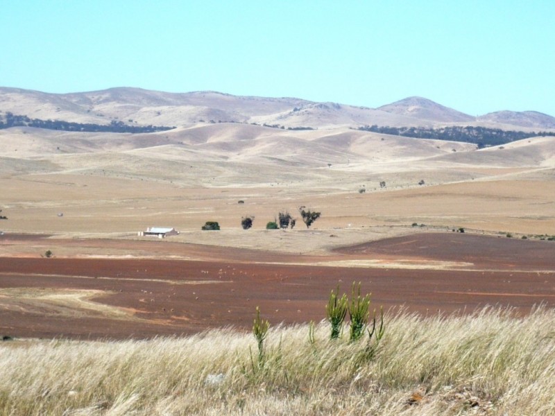 * 267.9ha Charlies 662acs, Mount Bryan SA 5418