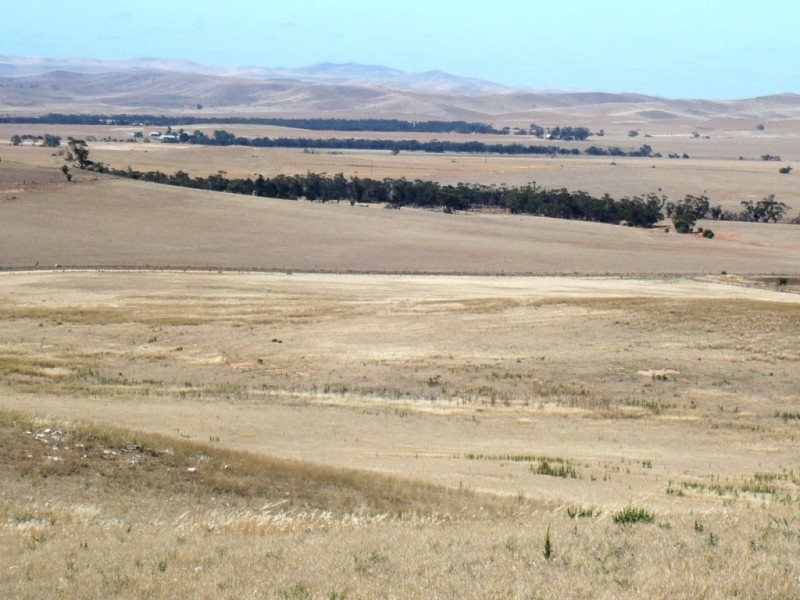 * 267.9ha Charlies 662acs, Mount Bryan SA 5418