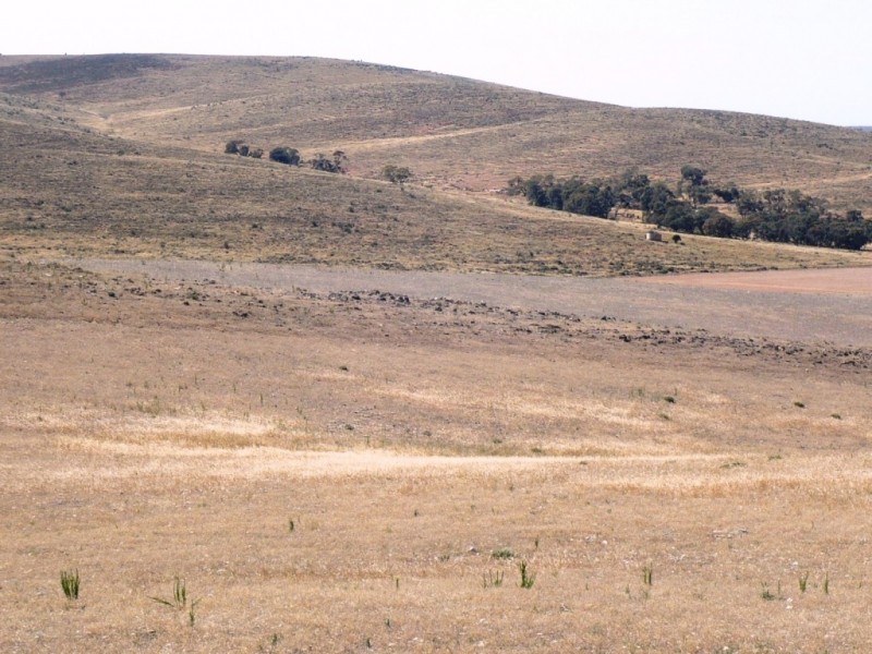 * 267.9ha Charlies 662acs, Mount Bryan SA 5418