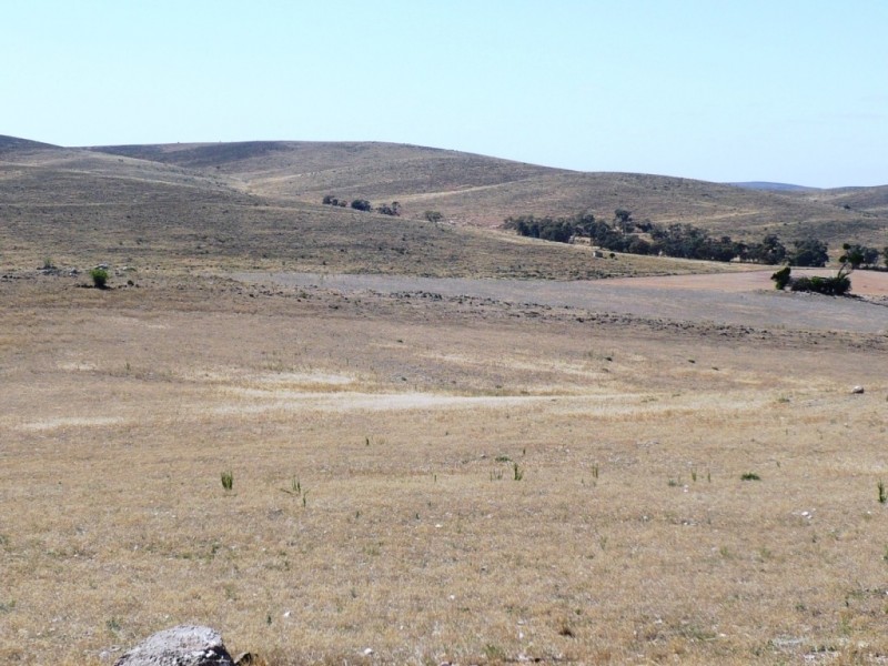 * 267.9ha Charlies 662acs, Mount Bryan SA 5418