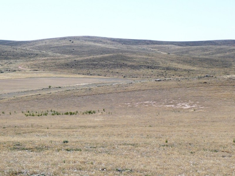 * 267.9ha Charlies 662acs, Mount Bryan SA 5418