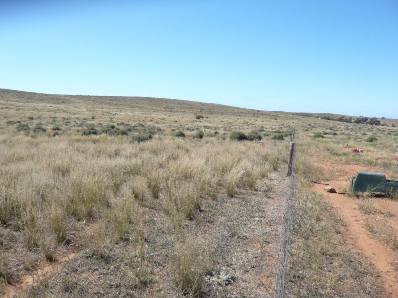 * 267.9ha Charlies 662acs, Mount Bryan SA 5418