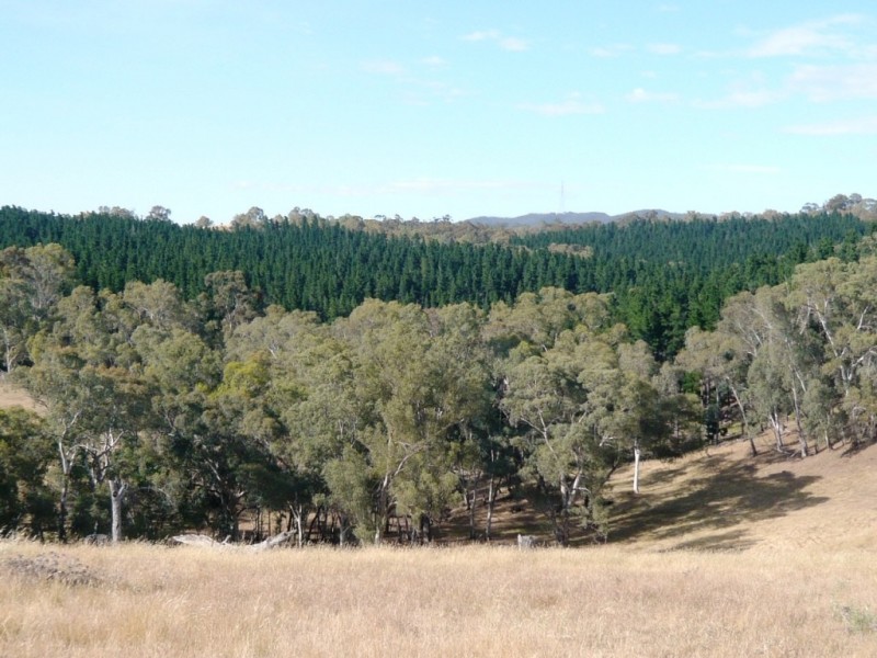 * 112ha Linden Hills 277acs, Wirrabara SA 5481