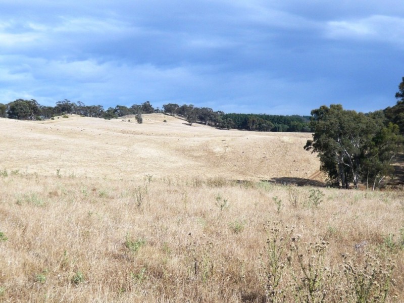 * 112ha Linden Hills 277acs, Wirrabara SA 5481