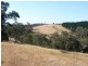 * 112ha Linden Hills 277acs, Wirrabara SA 5481