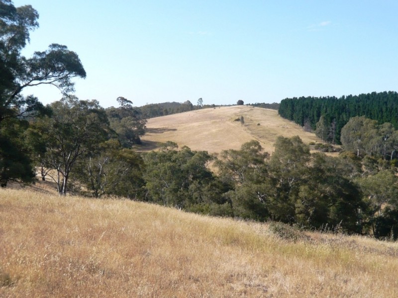 * 112ha Linden Hills 277acs, Wirrabara SA 5481