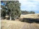 * 112ha Linden Hills 277acs, Wirrabara SA 5481