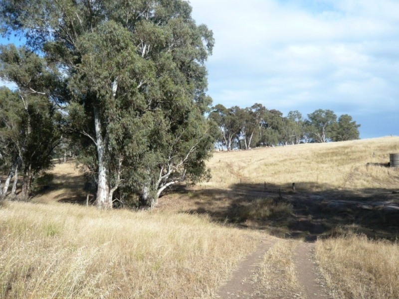 * 112ha Linden Hills 277acs, Wirrabara SA 5481