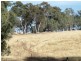 * 112ha Linden Hills 277acs, Wirrabara SA 5481