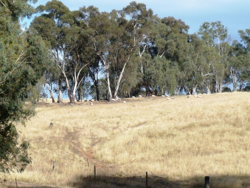 * 112ha Linden Hills 277acs, Wirrabara SA 5481