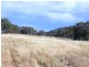 * 112ha Linden Hills 277acs, Wirrabara SA 5481