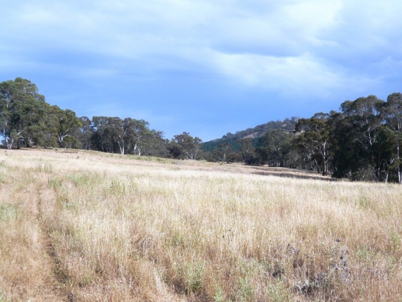 * 112ha Linden Hills 277acs, Wirrabara SA 5481