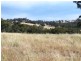* 112ha Linden Hills 277acs, Wirrabara SA 5481