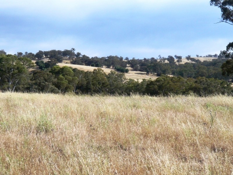 * 112ha Linden Hills 277acs, Wirrabara SA 5481
