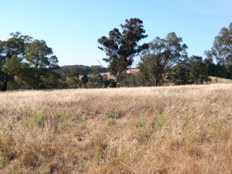 * 112ha Linden Hills 277acs, Wirrabara SA 5481