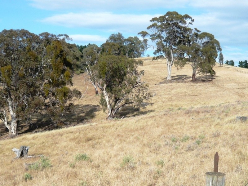 * 112ha Linden Hills 277acs, Wirrabara SA 5481