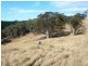 * 112ha Linden Hills 277acs, Wirrabara SA 5481