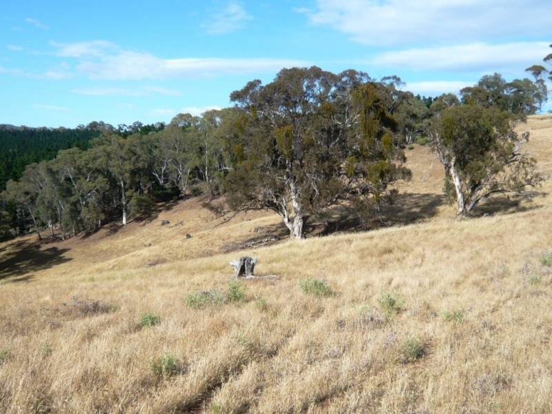 * 112ha Linden Hills 277acs, Wirrabara SA 5481