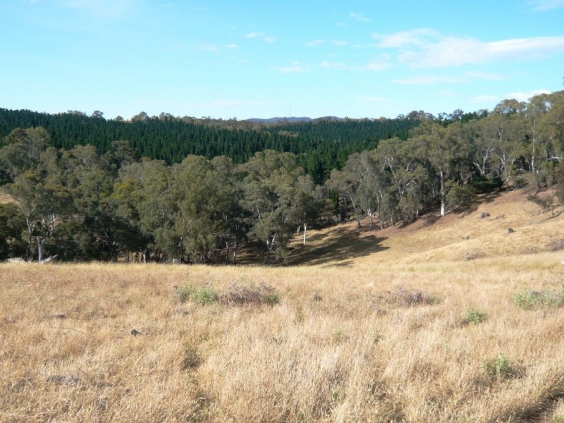* 112ha Linden Hills 277acs, Wirrabara SA 5481