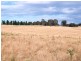 * 112ha Linden Hills 277acs, Wirrabara SA 5481