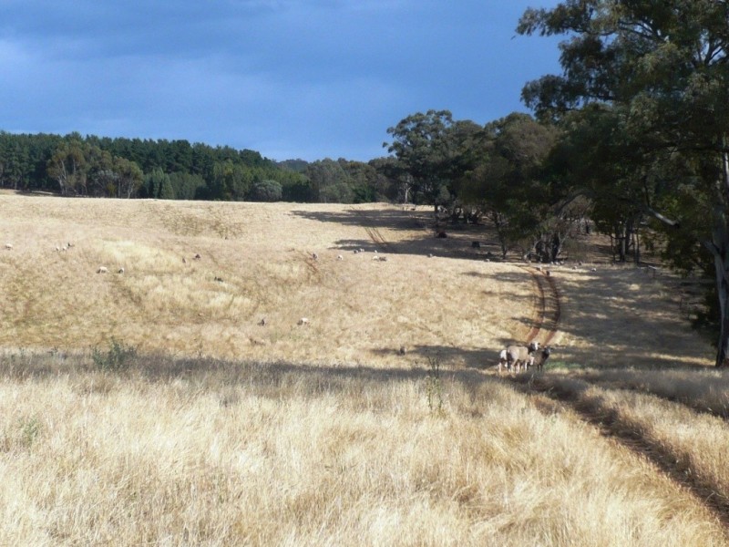 * 112ha Linden Hills 277acs, Wirrabara SA 5481